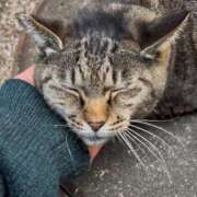 ヒメ日記 2025/05/08 03:29 投稿 あい sweet kiss