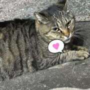 ヒメ日記 2025/05/10 03:39 投稿 あい sweet kiss