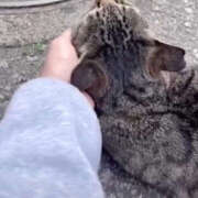 ヒメ日記 2025/05/10 23:35 投稿 あい sweet kiss