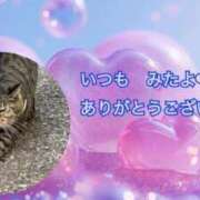 ヒメ日記 2025/05/11 03:19 投稿 あい sweet kiss