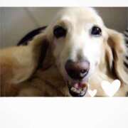 ヒメ日記 2025/05/13 10:59 投稿 あい sweet kiss