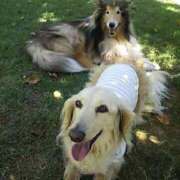 ヒメ日記 2025/05/16 10:19 投稿 あい sweet kiss