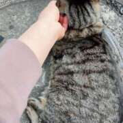 ヒメ日記 2025/05/18 03:09 投稿 あい sweet kiss