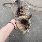 ヒメ日記 2025/05/19 03:59 投稿 あい sweet kiss