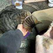 ヒメ日記 2025/05/20 09:20 投稿 あい sweet kiss