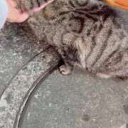 ヒメ日記 2025/05/21 03:59 投稿 あい sweet kiss