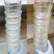 ヒメ日記 2025/05/22 22:29 投稿 あい sweet kiss