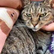 ヒメ日記 2025/05/23 02:59 投稿 あい sweet kiss