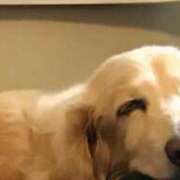 ヒメ日記 2025/05/26 00:19 投稿 あい sweet kiss