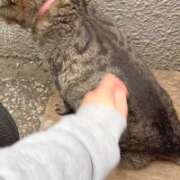 ヒメ日記 2025/05/26 02:48 投稿 あい sweet kiss