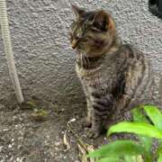 ヒメ日記 2025/05/26 08:49 投稿 あい sweet kiss