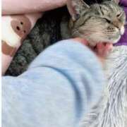 ヒメ日記 2025/06/02 03:29 投稿 あい sweet kiss