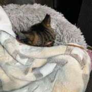 ヒメ日記 2025/06/03 03:19 投稿 あい sweet kiss