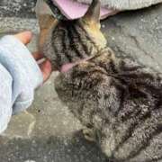 ヒメ日記 2025/06/05 03:29 投稿 あい sweet kiss