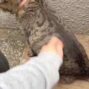 ヒメ日記 2025/06/06 03:09 投稿 あい sweet kiss