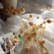 ヒメ日記 2025/06/09 08:59 投稿 あい sweet kiss