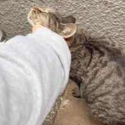 ヒメ日記 2025/06/12 03:59 投稿 あい sweet kiss