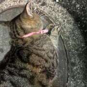 ヒメ日記 2025/06/13 03:59 投稿 あい sweet kiss