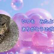 ヒメ日記 2025/06/14 03:19 投稿 あい sweet kiss