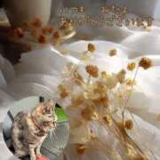 ヒメ日記 2025/06/15 03:09 投稿 あい sweet kiss