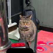 ヒメ日記 2025/06/16 11:29 投稿 あい sweet kiss