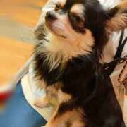 ヒメ日記 2025/06/17 09:59 投稿 あい sweet kiss