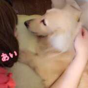 ヒメ日記 2025/06/18 08:20 投稿 あい sweet kiss