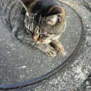 ヒメ日記 2025/06/19 02:59 投稿 あい sweet kiss