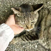 ヒメ日記 2025/06/19 15:26 投稿 あい sweet kiss