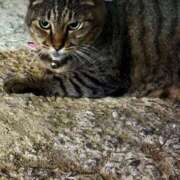 ヒメ日記 2025/06/21 03:29 投稿 あい sweet kiss