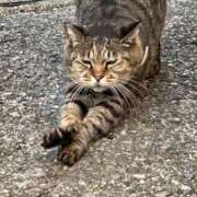 ヒメ日記 2025/06/24 03:29 投稿 あい sweet kiss