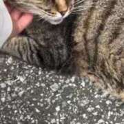 ヒメ日記 2025/06/25 09:29 投稿 あい sweet kiss