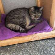 ヒメ日記 2025/06/25 16:02 投稿 あい sweet kiss