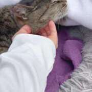 ヒメ日記 2025/06/28 03:29 投稿 あい sweet kiss