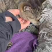 ヒメ日記 2025/06/28 23:37 投稿 あい sweet kiss