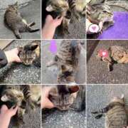 ヒメ日記 2025/06/29 09:29 投稿 あい sweet kiss