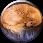 ヒメ日記 2025/07/03 02:39 投稿 あい sweet kiss