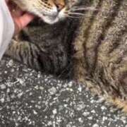 ヒメ日記 2025/07/05 03:59 投稿 あい sweet kiss