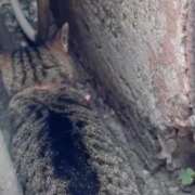 ヒメ日記 2025/07/07 02:55 投稿 あい sweet kiss