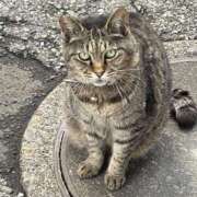 ヒメ日記 2025/07/12 03:29 投稿 あい sweet kiss