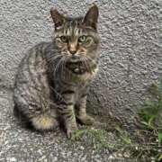 ヒメ日記 2025/07/19 03:29 投稿 あい sweet kiss