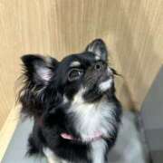 ヒメ日記 2025/07/21 14:22 投稿 あい sweet kiss