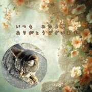 ヒメ日記 2025/07/24 03:39 投稿 あい sweet kiss