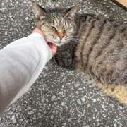 ヒメ日記 2025/07/27 03:09 投稿 あい sweet kiss