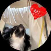 ヒメ日記 2025/07/28 14:55 投稿 あい sweet kiss