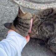 ヒメ日記 2025/07/28 15:39 投稿 あい sweet kiss