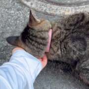 ヒメ日記 2025/07/29 02:58 投稿 あい sweet kiss