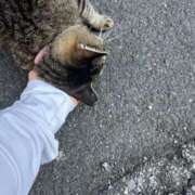 ヒメ日記 2025/07/29 03:49 投稿 あい sweet kiss