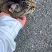 ヒメ日記 2025/07/31 03:49 投稿 あい sweet kiss