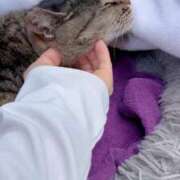 ヒメ日記 2025/08/02 03:39 投稿 あい sweet kiss